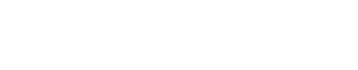 Te Kāwanatanga o Aotearoa New Zealand Government